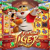bet223 fortune tiger bet