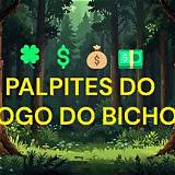 palpite jogo do bicho hoje blackjack online